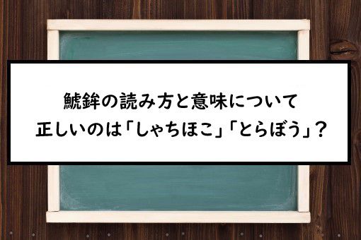 鯱鉾の読み方と意味 しゃちほこ と とらぼう 正しいのは