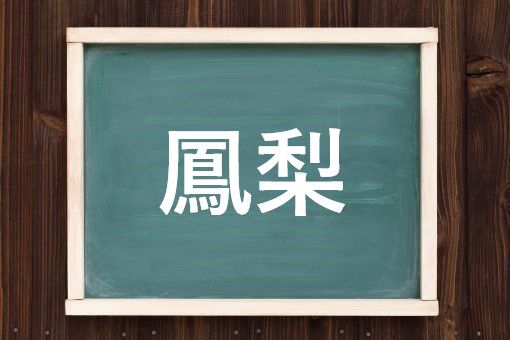 鳳梨の読み方と意味 パイナップル と ほうり 正しいのは