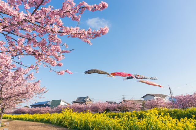 麗らかな気分